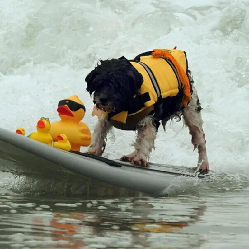 Gilet de sauvetage pour chiens Maillot de bain réfléchissant à haute flottabilité.