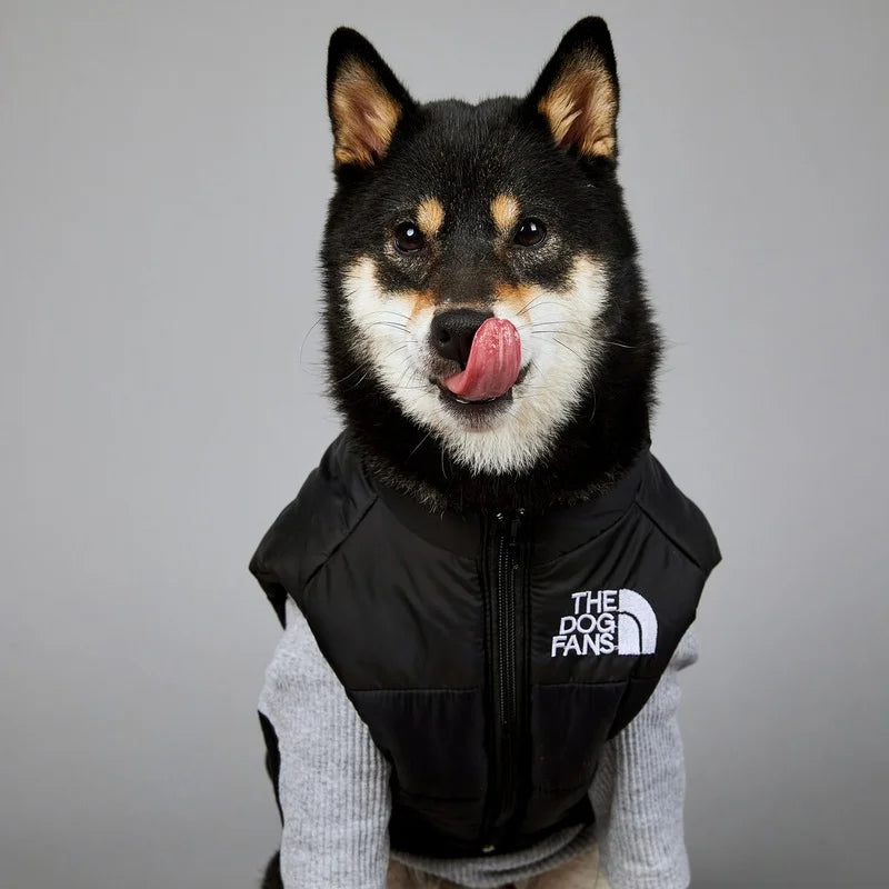 magnifique jacket hiver pour chien