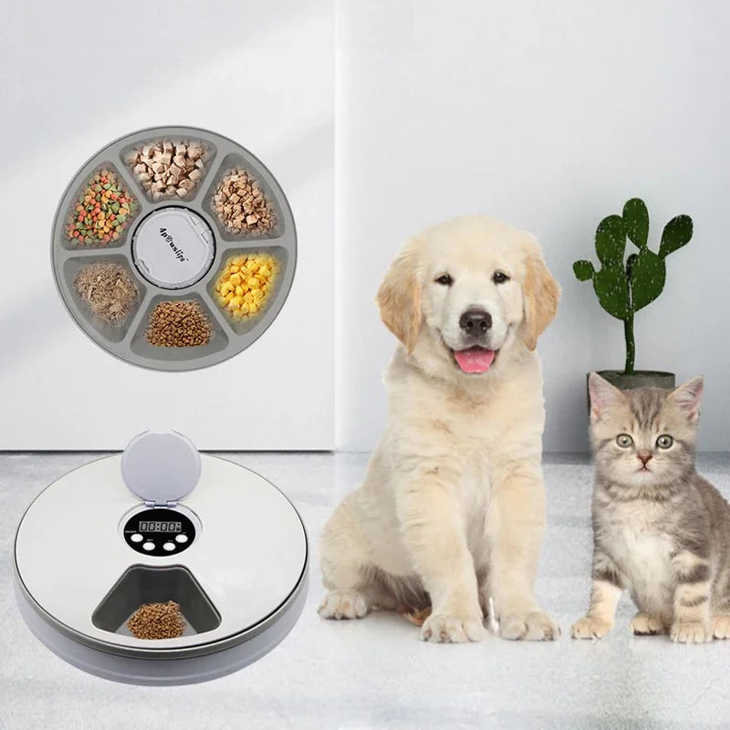 Distributeur automatique de nourriture pour chien et chat, 6 repas, 6 grilles, distributeur électrique de nourriture sèche pour chien et chat, alimentation 24 heures sur 24, fournitures pour animaux de compagnie