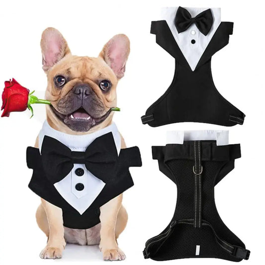 Costume de fête de mariage pour chiens de petite et moyenne taille, doux et respirant