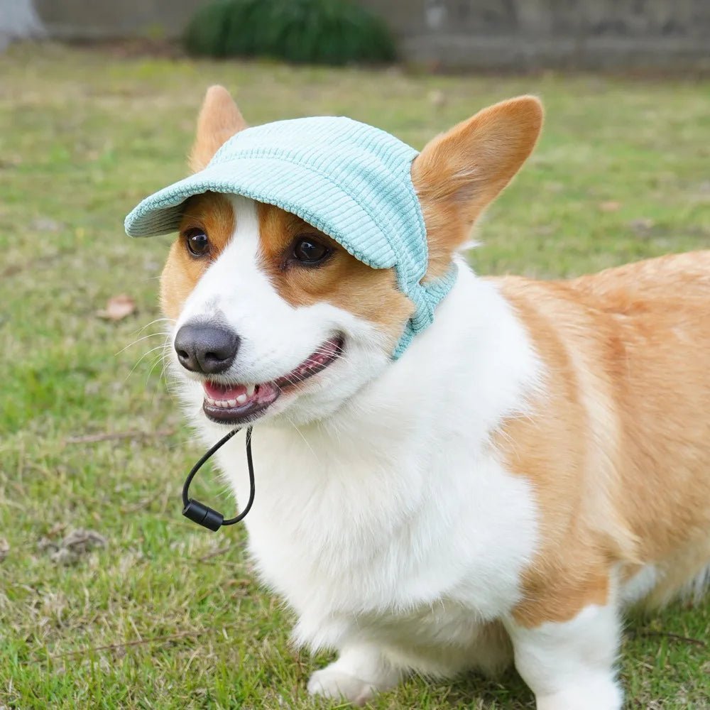 Chapeau de mode pour chien de compagnie, casquette de baseball décontractée, chapeaux de soleil réglables pour chats, petits, moyens et grands chiens, chapeau mignon, accessoire d'extérieur pour chien