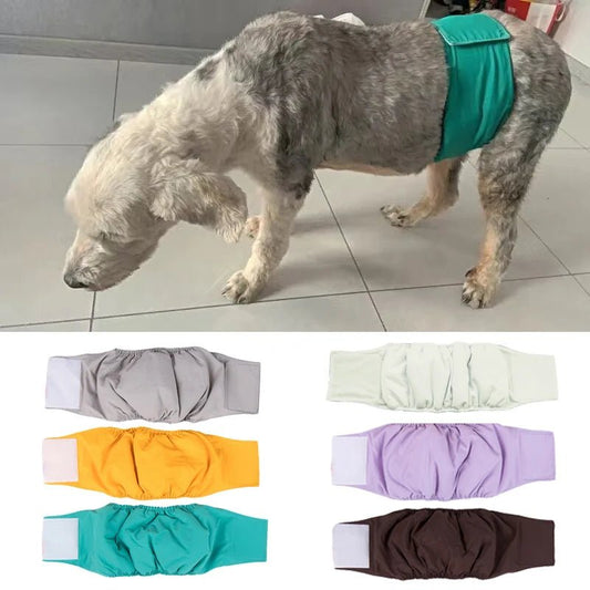 Couches-culottes pour chiens de compagnie de haute qualité