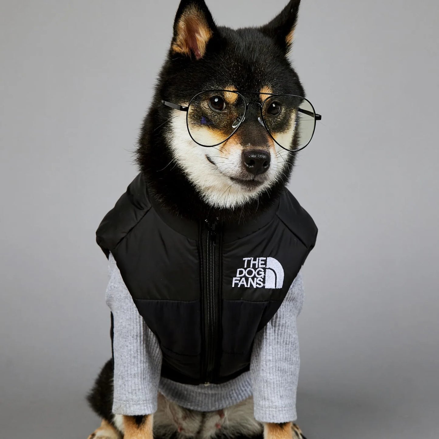 magnifique jacket hiver pour chien