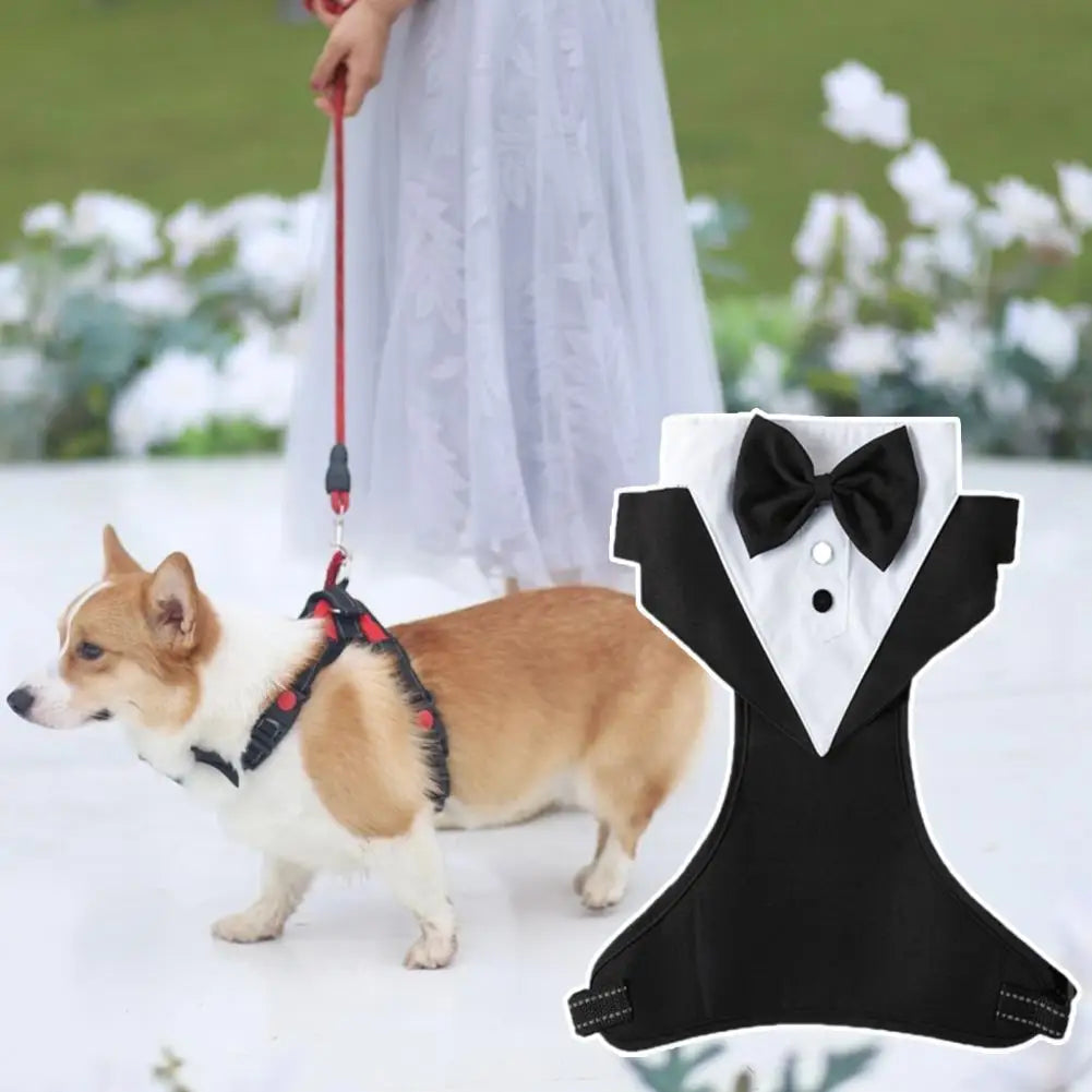 Costume de fête de mariage pour chiens de petite et moyenne taille, doux et respirant