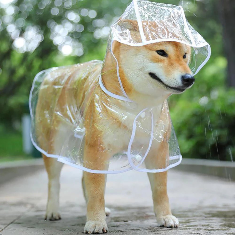 Imperméable pour chien de grande taille L-8XL imperméable transparent épais pour grand chien masqué pour éviter les infiltrations d'eau