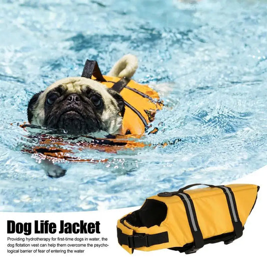 Gilet de sauvetage pour chiens Maillot de bain réfléchissant à haute flottabilité.