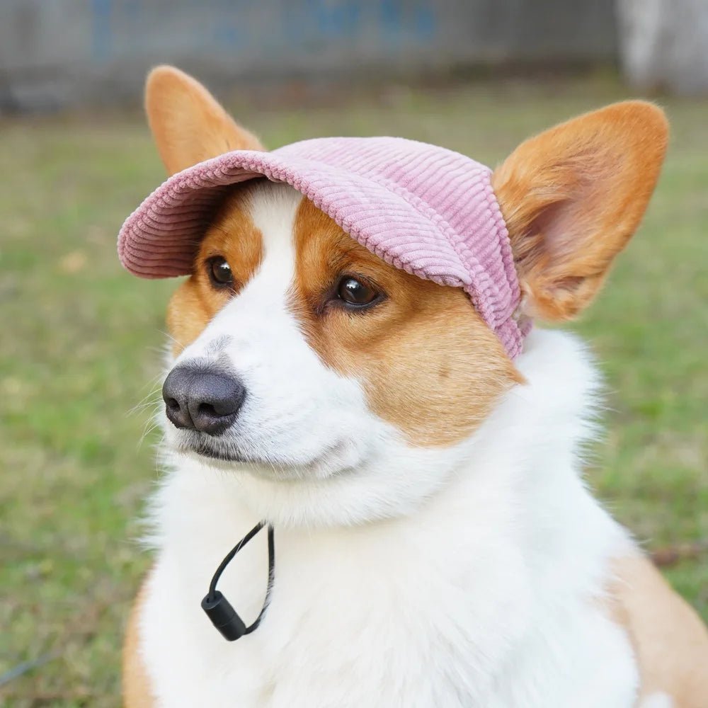 Chapeau de mode pour chien de compagnie, casquette de baseball décontractée, chapeaux de soleil réglables pour chats, petits, moyens et grands chiens, chapeau mignon, accessoire d'extérieur pour chien