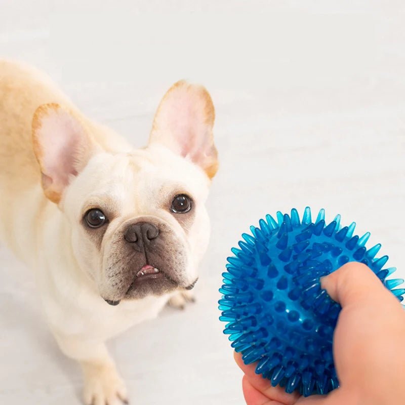 Balle rebondissante Jouets interactifs résistants aux morsures pour chiens de petite, moyenne et grande taille Bouledogue français Chihuahua etc