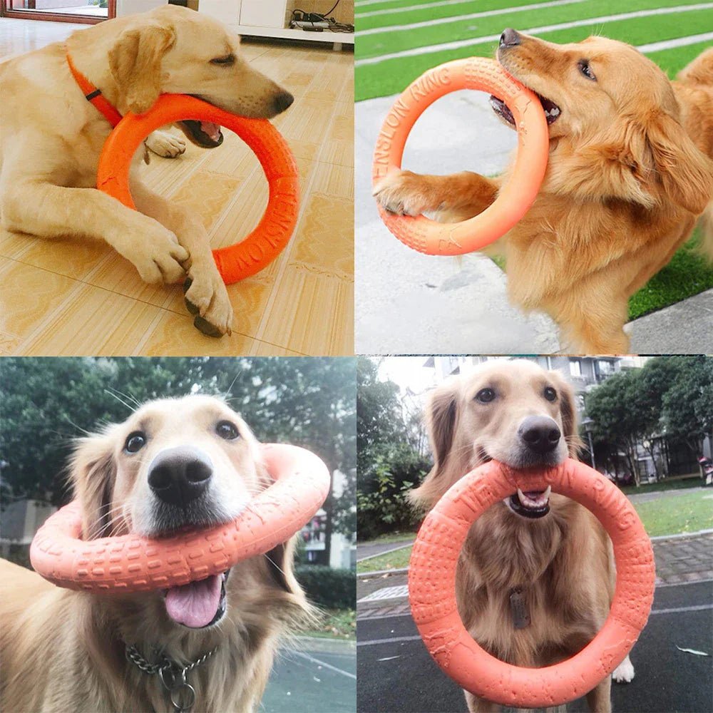 DogTrainingRing™ - Élifa