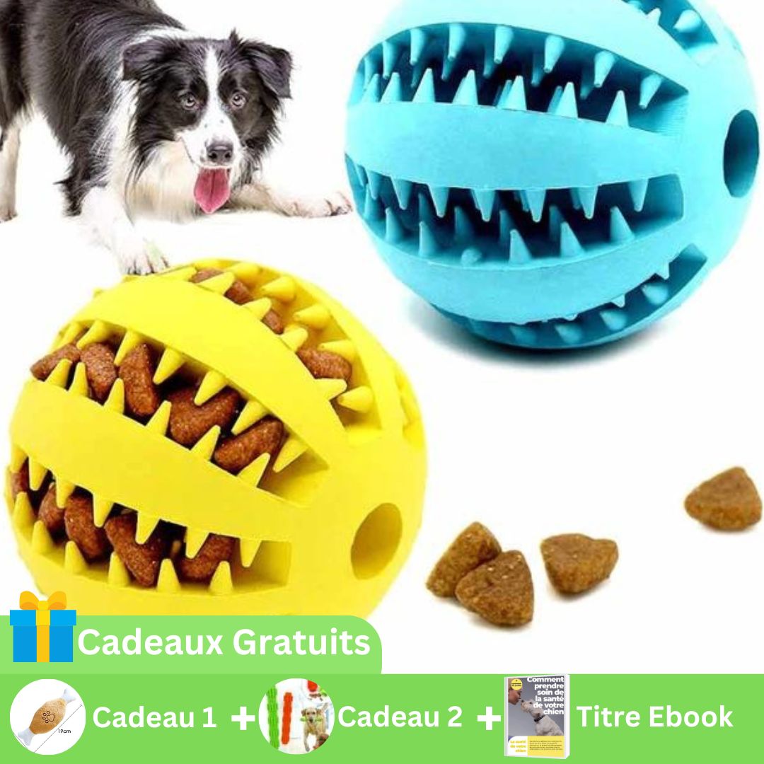 Jouets pour animaux de compagnie, balles élastiques pour nettoyer les dents, jouets à mâcher interactifs amusants pour chiens, balles en caoutchouc naturel qui fuient pour chiens de petite et moyenne taille - Élifa