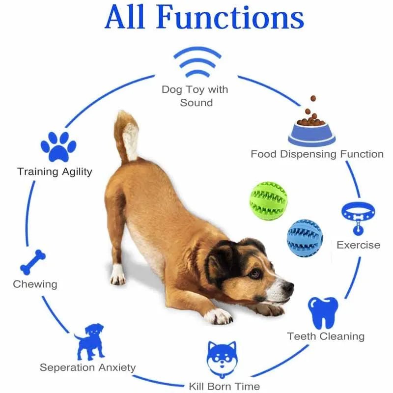 Jouets pour animaux de compagnie, balles élastiques pour nettoyer les dents, jouets à mâcher interactifs amusants pour chiens, balles en caoutchouc naturel qui fuient pour chiens de petite et moyenne taille - Élifa