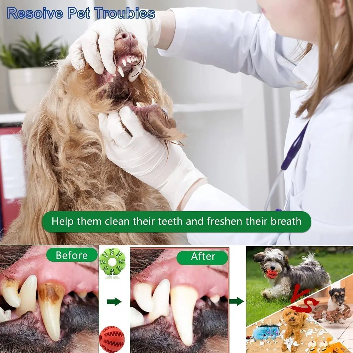 Jouets pour animaux de compagnie, balles élastiques pour nettoyer les dents, jouets à mâcher interactifs amusants pour chiens, balles en caoutchouc naturel qui fuient pour chiens de petite et moyenne taille - Élifa