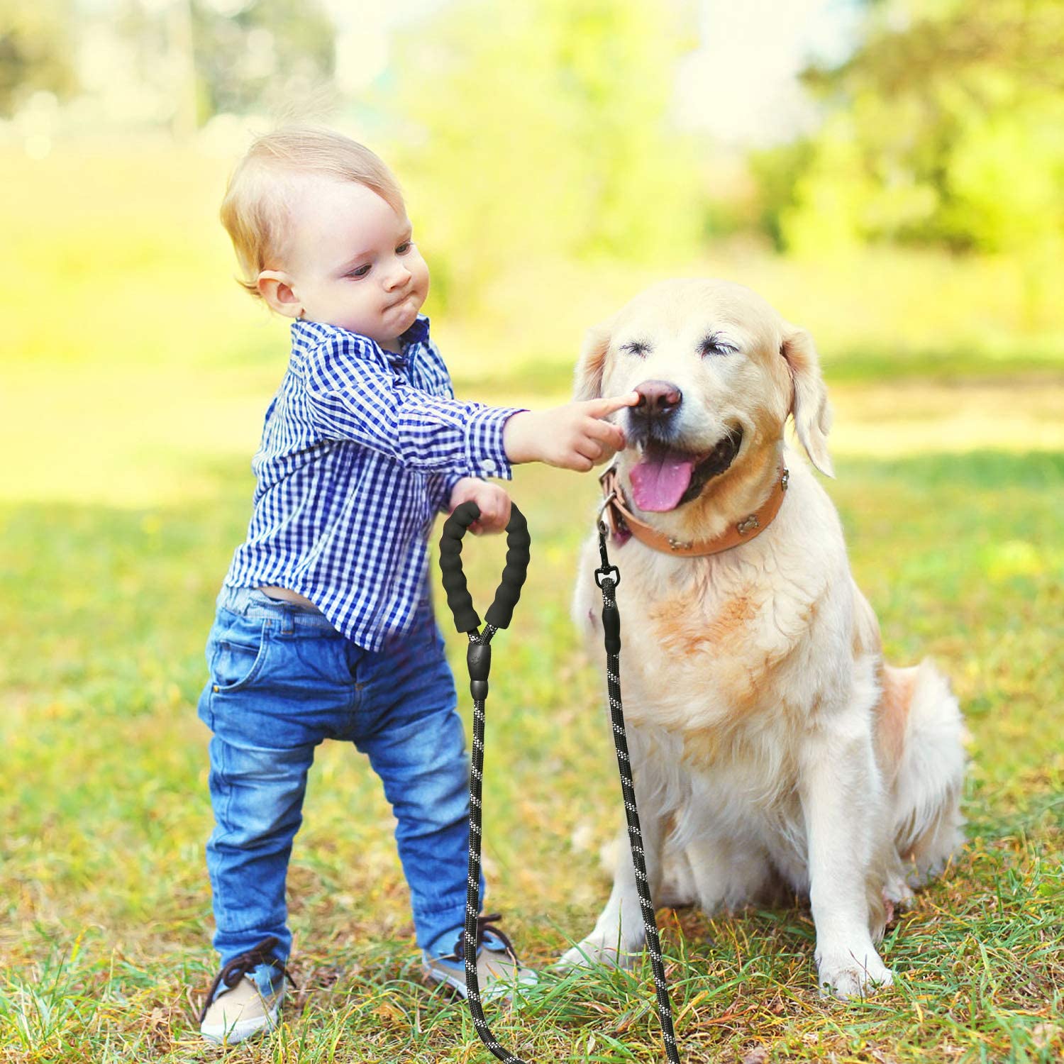 LaisseEduc™ - Corde en Nylon pour chien | Chien - Élifa