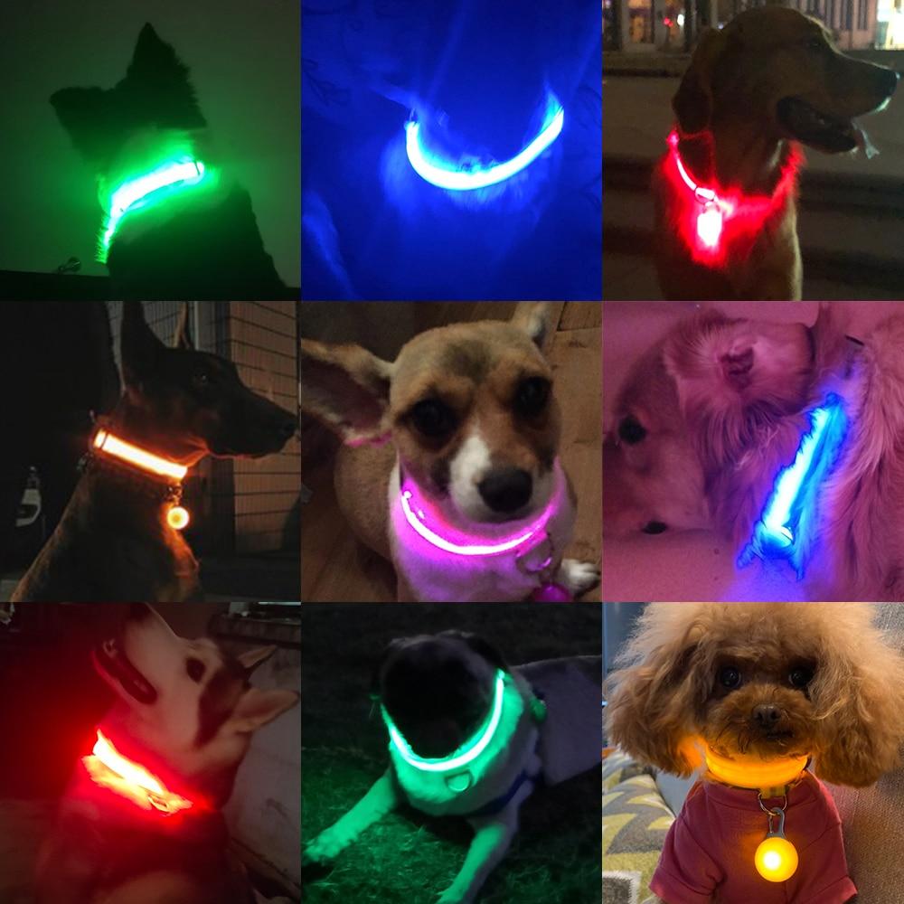 LedCollar™ - Collier à LED rechargeable pour chien - Élifa