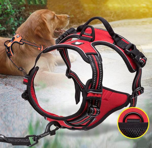 SafetyHarness™ - Harnais pour animal de compagnie - Élifa